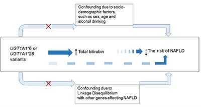 Genetically Regulated Bilirubin and Risk of Non-alcoholic Fatty Liver Disease: A Mendelian Randomization Study